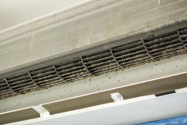 Best Affordable HVAC Duct Cleaning  in Newman, CA